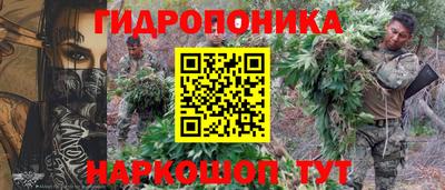 шишки Берёзовский